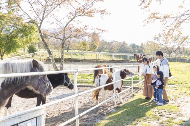 ふれあい牧場（七ツ平高原）