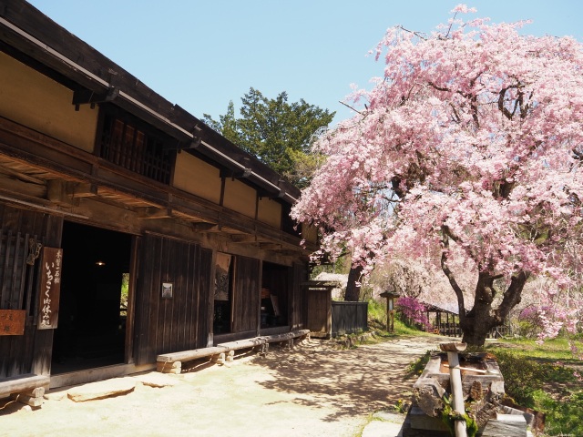 一石栃立場茶屋