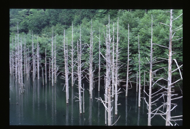 自然湖