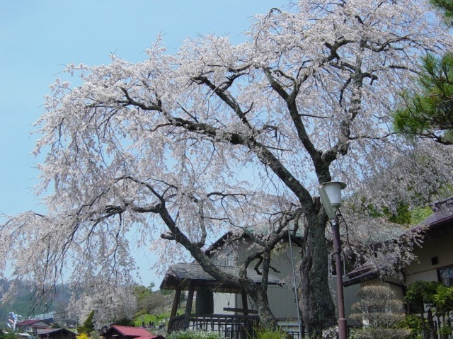 鳳泉寺