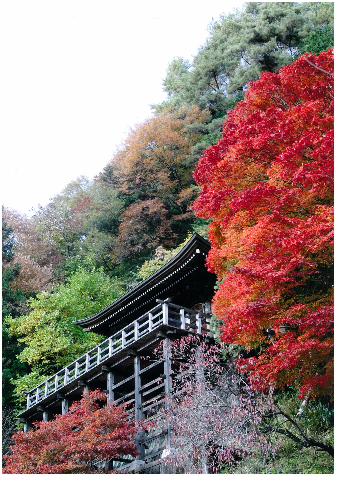 岩出観音｜観光スポット｜中央アルプスと木曽路 癒やしの道