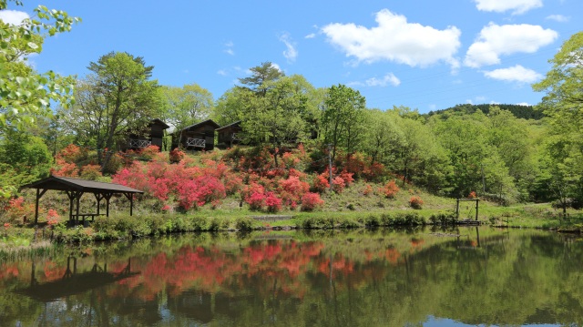 のぞきど森林公園