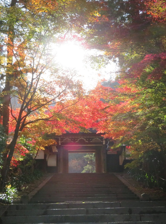 定勝寺