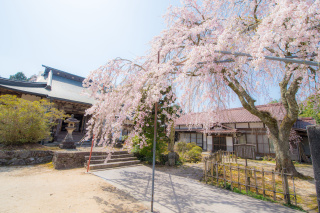 医王寺