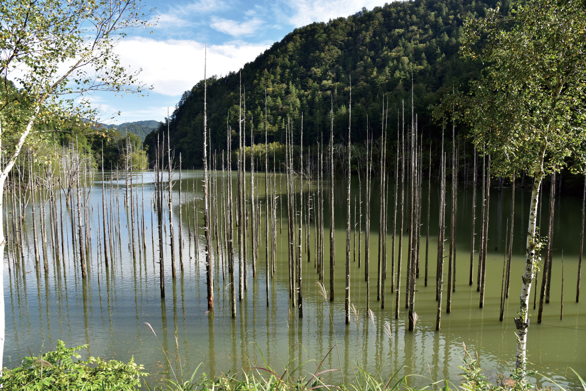 自然湖（撮影場所：王滝村）